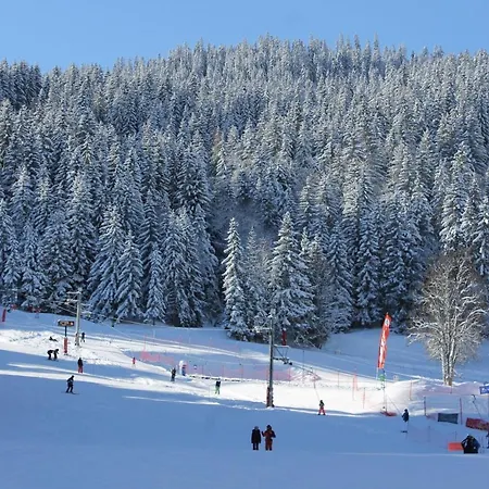 Résidence Grand Bois B415 Clés Blanches Appartamento